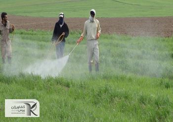 بی‌اثری تحریم در وا‌ردات نهاده کشاورزی/ کود‌های توزیعی در بخش کشاورزی تناسبی ندارد