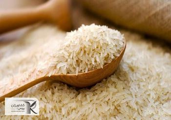 افزایش رکود در بازار برنج ایرانی با ‌واردات بی‌موقع/ وزارت جهاد در تعیین زمان صادرات و واردات تأمل کند