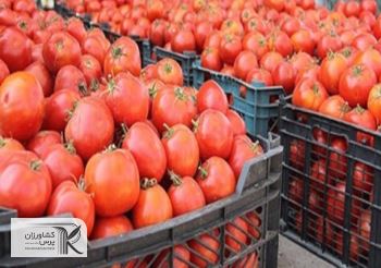 عوارض صادرات محصولات آب‌بر برای تقویت تولید کالاهای اساسی دو برابر شد
