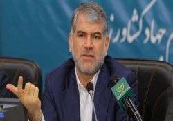 تنظیم بازار مرغ و تخم‌مرغ به بخش خصوصی واگذار شد/ توقف 40 کشتی در بندر و پرداخت خسارت روزانه