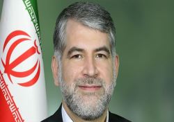 ساداتی نژاد: هیچ‌گونه جوجه‌کشی و معدوم‌سازی در چند وقت گذشته نداشته‌ایم