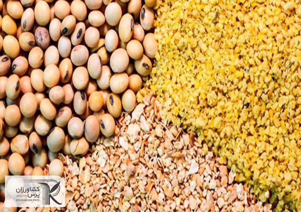 مطالبه وارد کنندگان نهاده از بانک مرکزی برای تخصیص ارز