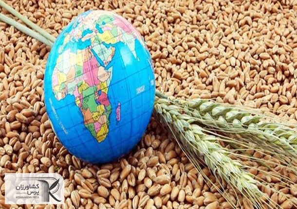 چگونه می توان ضریب امنیت غذایی را با زمین های دیم افزایش داد