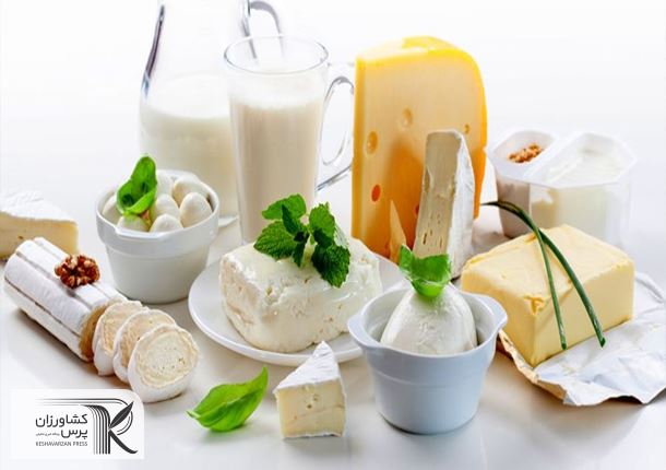 موافقت ژاپن برای انجام واردات لبنیات از ایران/کارخانه های لبنی بسیج شدند