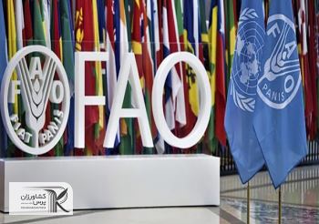 گزارش فائو از کاهش قیمت مواد غذایی در جهان