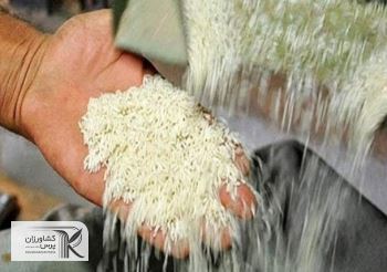 مشکلات ثبت سفارش و واردات برنج های خارجی