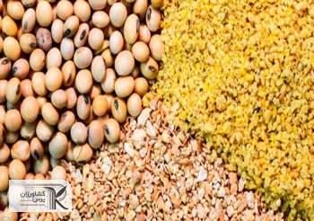 مطالبه وارد کنندگان نهاده از بانک مرکزی برای تخصیص ارز