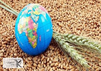 چگونه می توان ضریب امنیت غذایی را با زمین های دیم افزایش داد