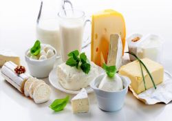 موافقت ژاپن برای انجام واردات لبنیات از ایران/کارخانه های لبنی بسیج شدند