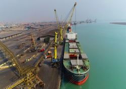 تکذیب ادعای «واردات کالای اساسی بدون رعایت تشریفات» از سوی وزارت جهاد