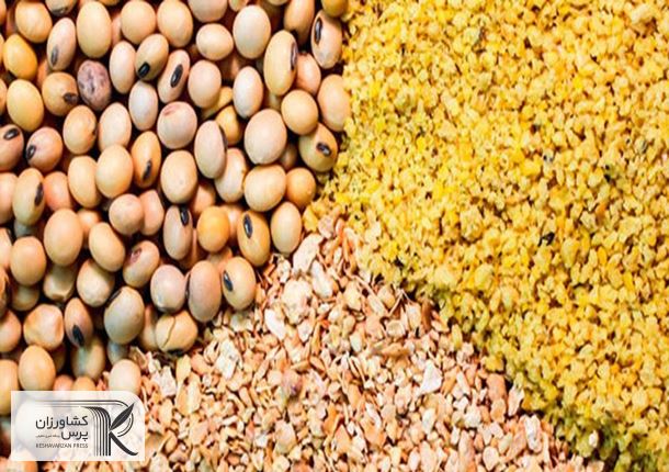 جزئیاتی از آمار واردات نهاده‌های دامی در ۱۱ ماهه ۱۴۰۱