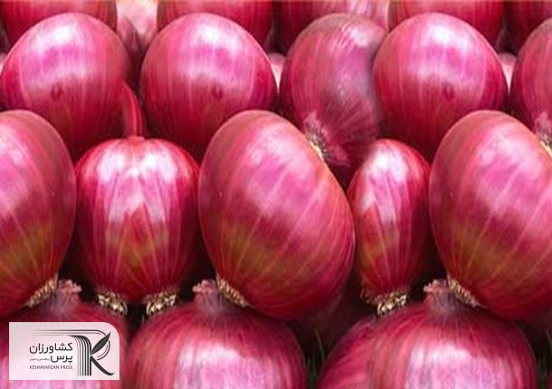 قیمت پیاز با عرضه گسترده محصول مناطق جنوب کاهش یافت