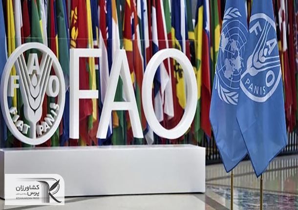 فائو از افزایش تولید و بهبود جایگاه ایران در تولید گندم در جهان خبر داد