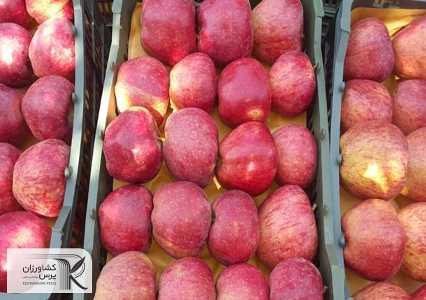 ۳۲۰ هزار تن سیب در سردخانه‌های کشور موجود است