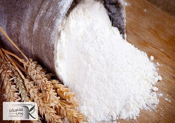 چراغ سبز دولت برزیل برای کشت گندم تراریخته