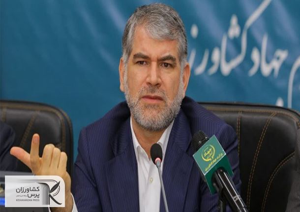 تاثیر آمار اشتباه کشاورزی در گرانی گوشت قرمز