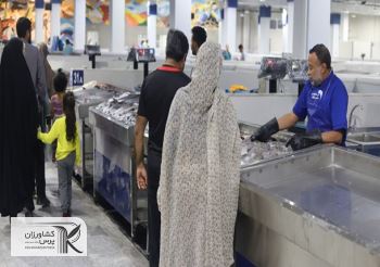 ماهی ارزان را از کجا بخریم
