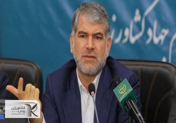 تاثیر آمار اشتباه کشاورزی در گرانی گوشت قرمز