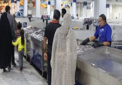 ماهی ارزان را از کجا بخریم