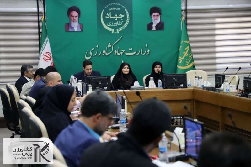 تدوین سند راهبردی جوانان و نخبگان وزارت جهادکشاورزی